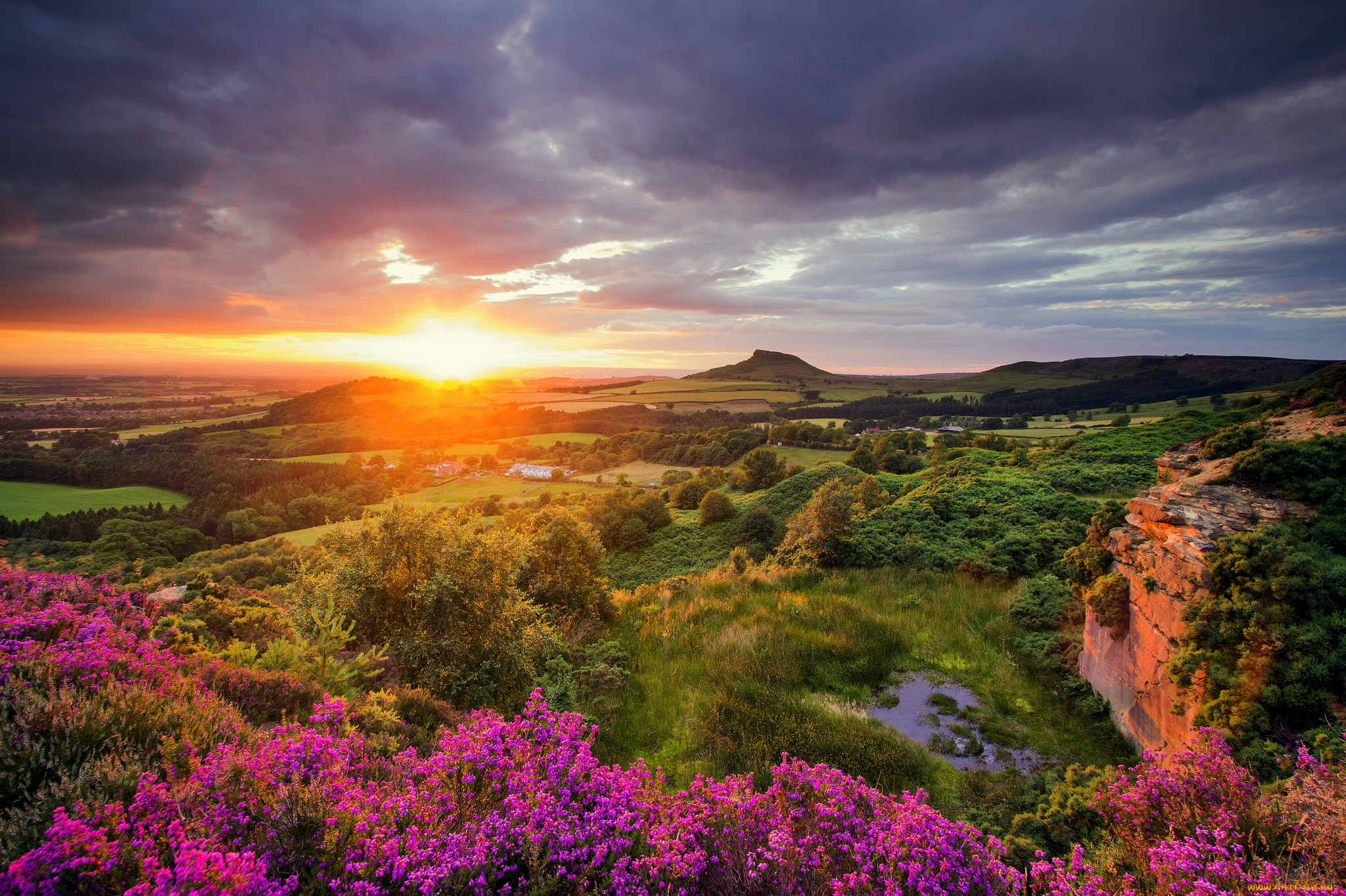 Heather in Bloom in Yorkshire. When the best time to see Heather in Bloom in the North York Moors National Park.